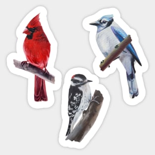 Wild Bird Sticker Set Sticker